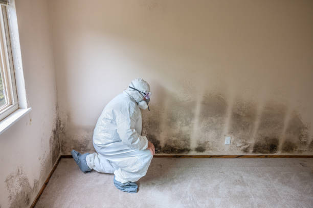 Mold Remediation for Vacation Homes in Lilburn, GA